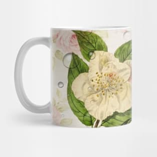 Shabby Chic spring butterfly french rose botanical floral Mug